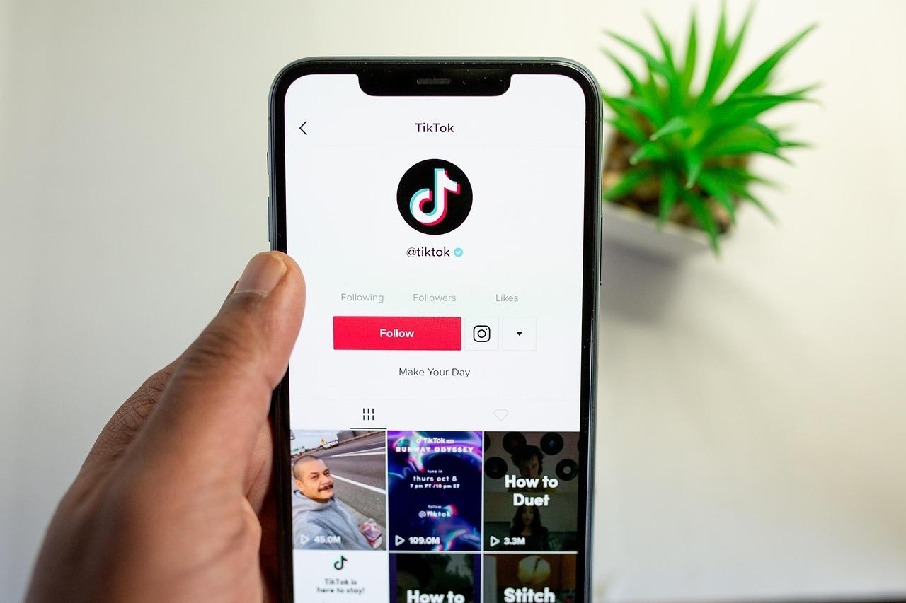 Making it as a tiktok influencer 5 useful tips