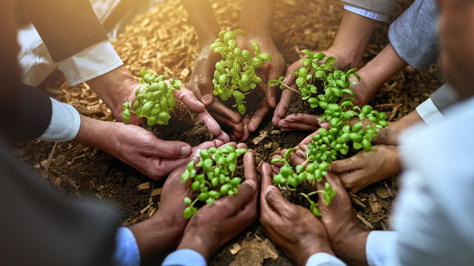 Innovative customer acquisition solutions for sustainable business growth