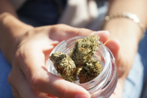 How Shopzaza&rsquo;s Blue Warhead Hybrid Strain Delivers A Balanced High Like No Other